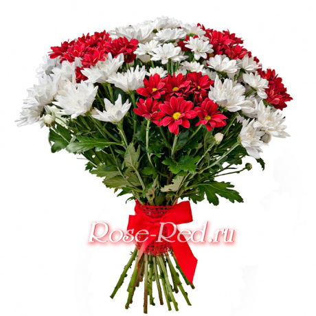 Под южным солнцем