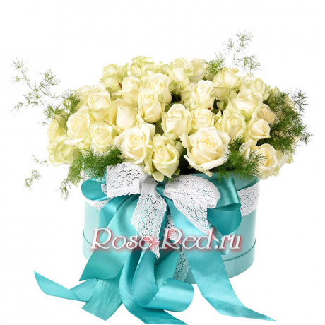 Свет далекой звезды