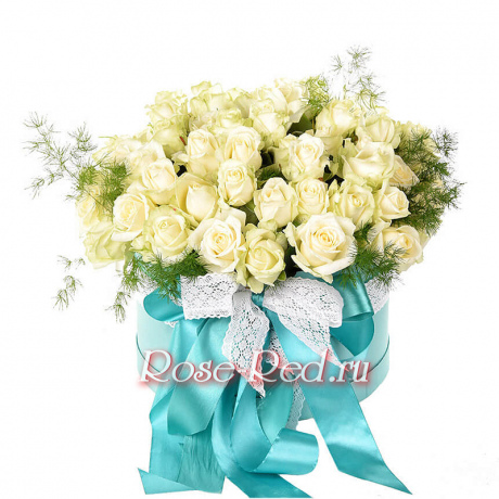 Свет далекой звезды