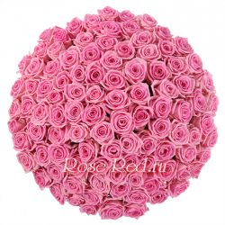 В розовом саду 101 роза