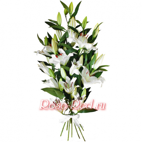 Совершенство