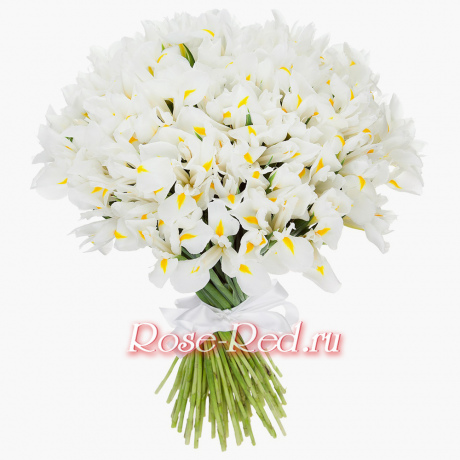 Букет белых ирисов