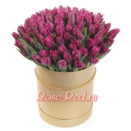 Фиолетовые тюльпаны в коробке