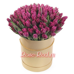 Фиолетовые тюльпаны в коробке