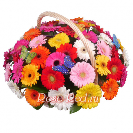 Цветочная поляна