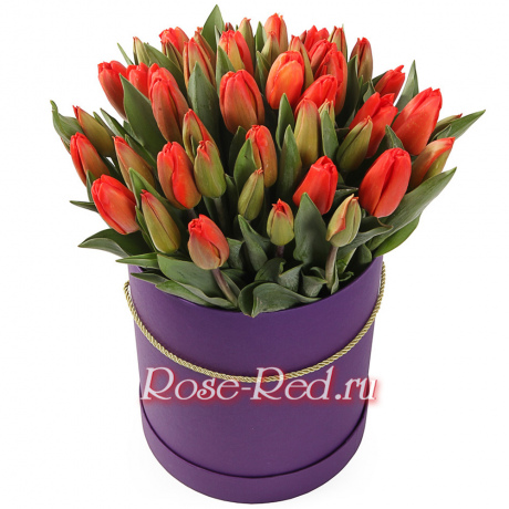 45 красных тюльпанов в коробке