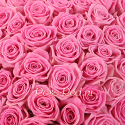 История любви