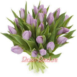 Букет 25 лавандовых тюльпанов