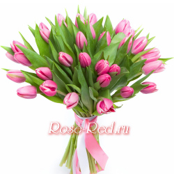 Букет 25 розовых тюльпанов