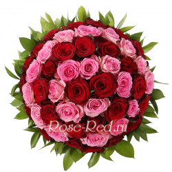 Любимый завиток