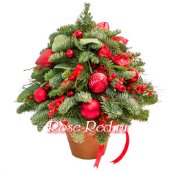 Мы встречаем Новый Год