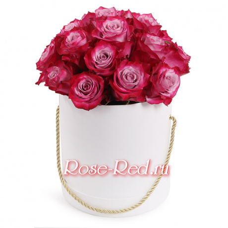 Особенное поздравление