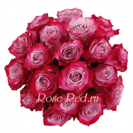 Особенное поздравление