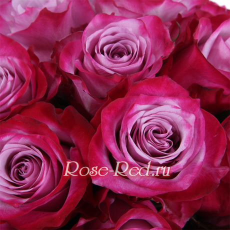 Особенное поздравление