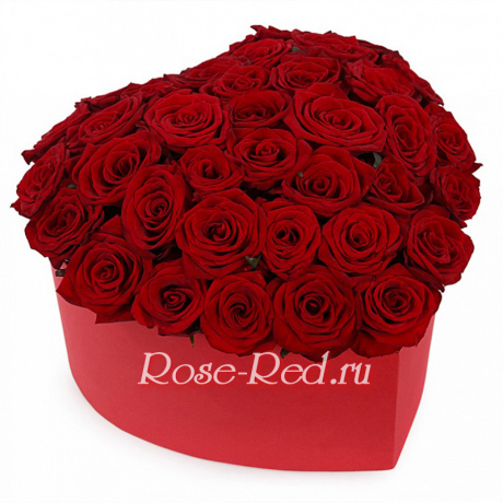 Сердечная любовь