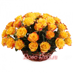 Горячий источник