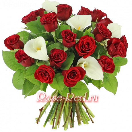 Богиня красоты