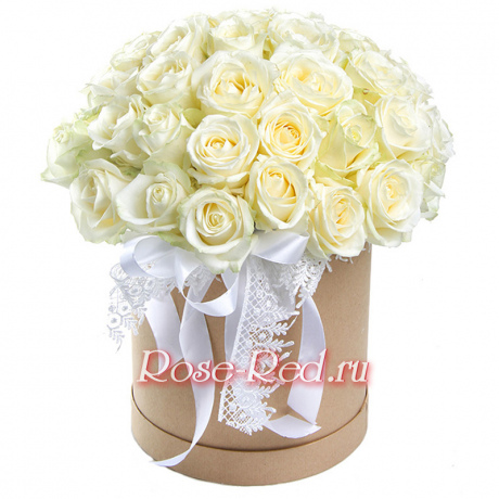 Белоснежная даль