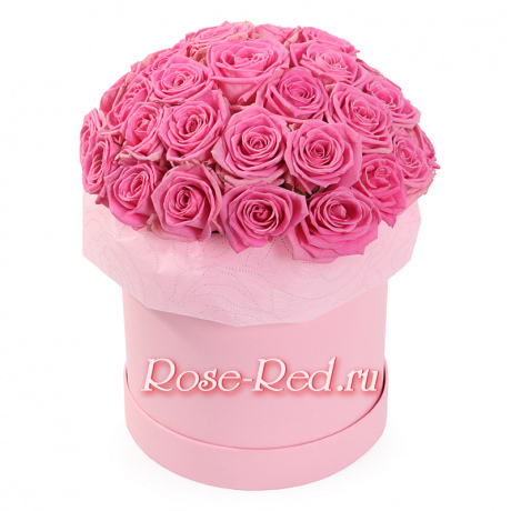 В розовом саду