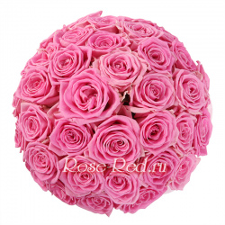 В розовом саду