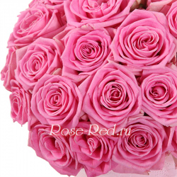 В розовом саду