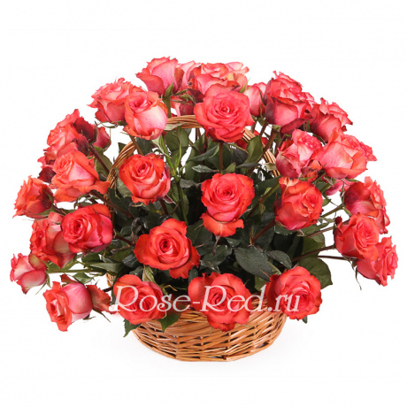 Костер любви