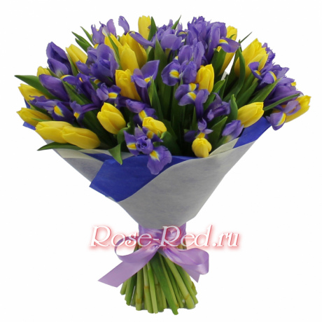 Весеннее солнце