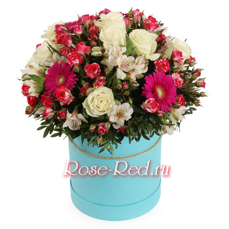 Красавица Любимица