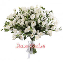 Прекрасная незнакомка