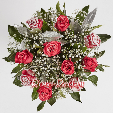 Розы на снегу