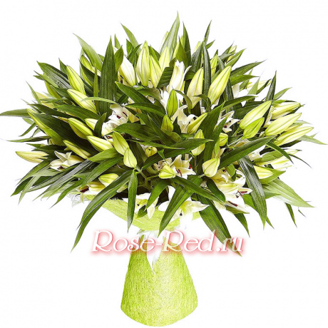 Королевское величество