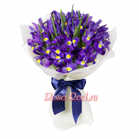 Радужные мечты