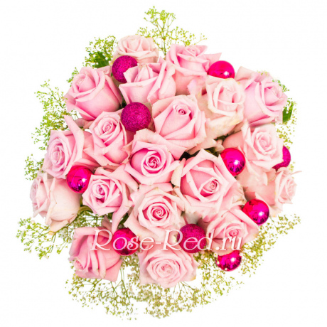 Зимняя роза