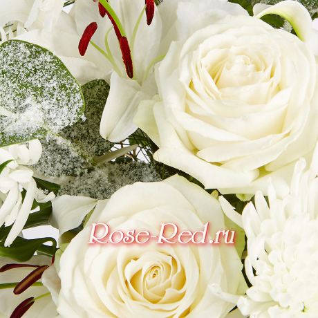 Белоснежная зима