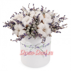 В облаках любви